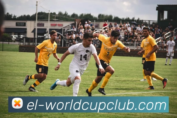 世界杯在线投注品牌故事